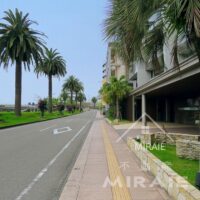 宮崎市を代表するリゾート感漂う大淀川沿いの景色