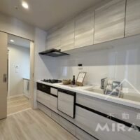 キッチンは食洗器付きのシステムキッチンに新しく交換済です。